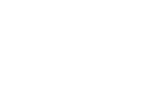 Platinum Biologics Logo New